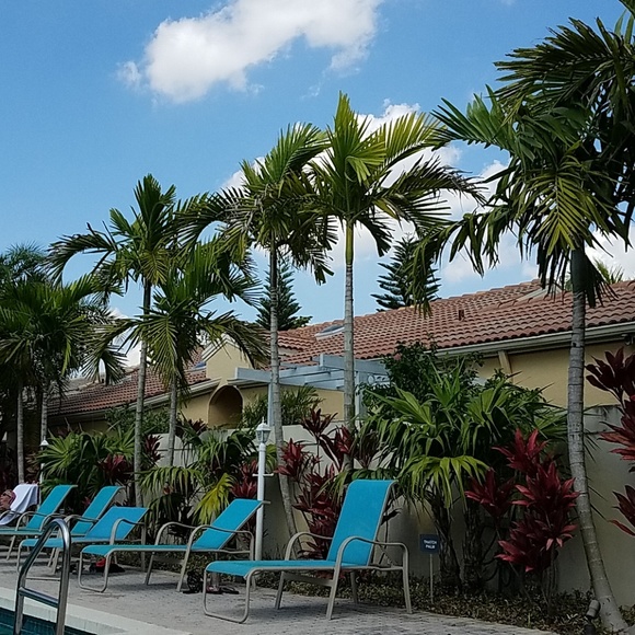 Meet your Posher, Eileen - Picture 1 of 1